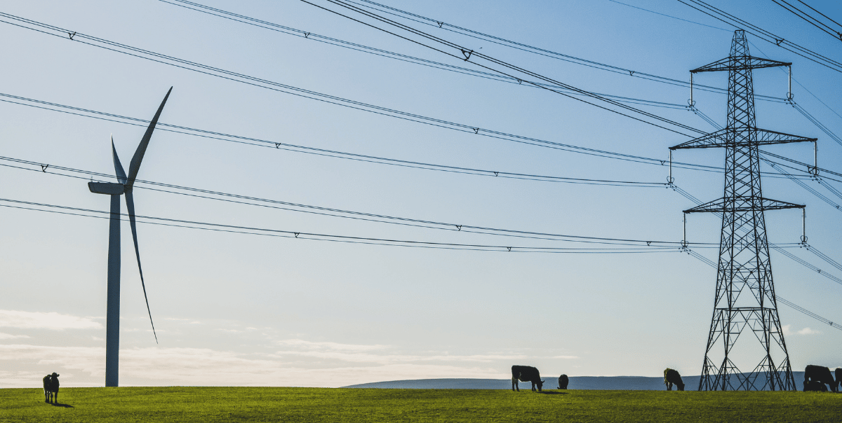 farmland with cows, powerlines, and wind turbines demonstrating the electrification of rural America